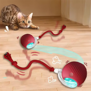 ChaseTail™ Interactive Pet Toy