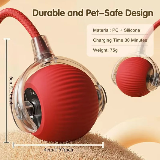 ChaseTail™ Interactive Pet Toy